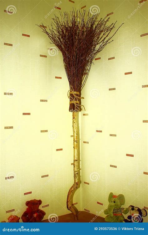 The Origins and Evolution of the Witches Broom in Witchcraft Practices